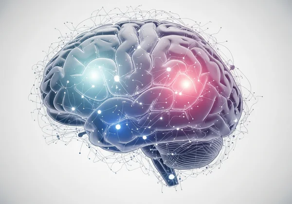 Brain map illustrating dark triad personality traits